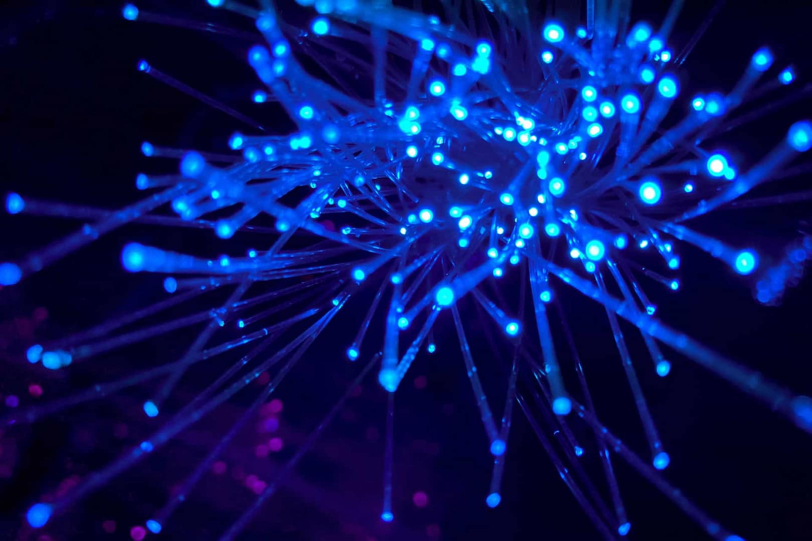 fiber i sunne